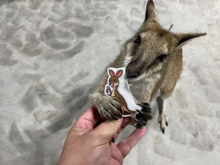 **Scooter Epoxy Decal** Glitter Chimp