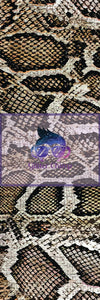Glitter Chimp Vinyl Pen Wrap - Snake Skin - 4.75"x1.5" - Vinyl