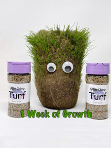 Turf - Grow A Tumbler Seeds- Limited Edition