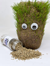 Load image into Gallery viewer, Turf - Grow A Tumbler Seeds- Limited Edition